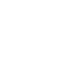 Instagram Icon