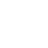 Linked in Icon